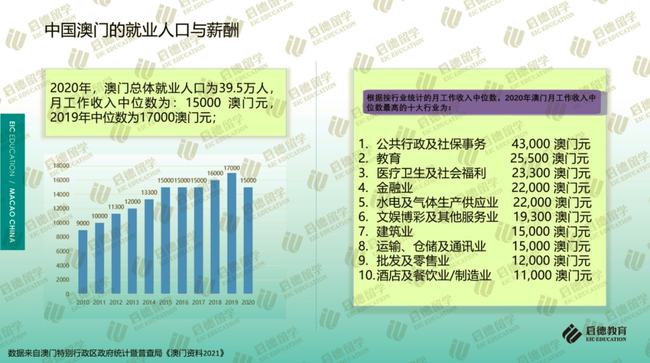 新澳门免费全年资料查询，构建解答解释落实的全面指南