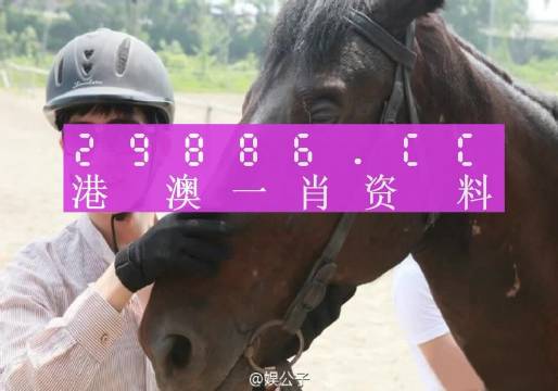 澳门一肖一码一必开一肖，全面释义、解释与落实