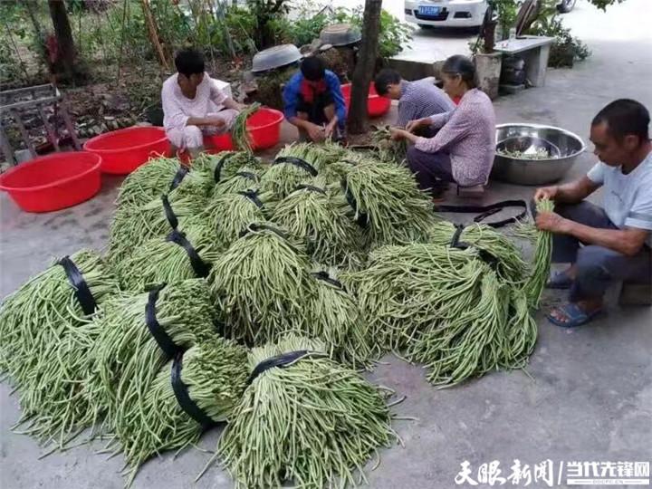 昆山房产合同，细节决定成败