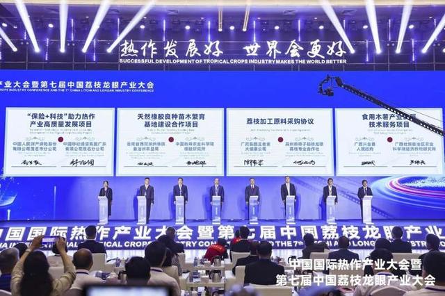 广东中富有限公司，企业概述、成就与挑战