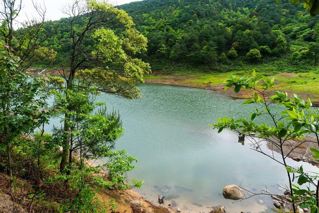 广东省最高的山峰排名及其魅力